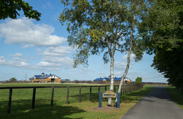 The appearance of the Hayakita farm