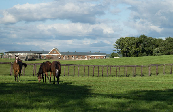 Image of the Northern farm