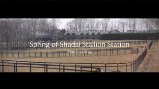 Spring of Shadai Stallion Station【動画】