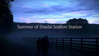 Summer of Shadai Stallion Station【動画】
