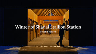 Winter of Shadai Stallion Station Second edition【動画】