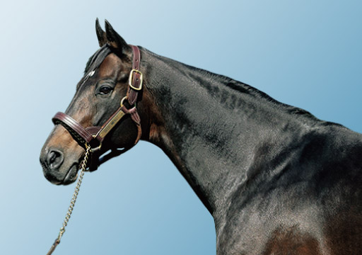 DEEP IMPACT