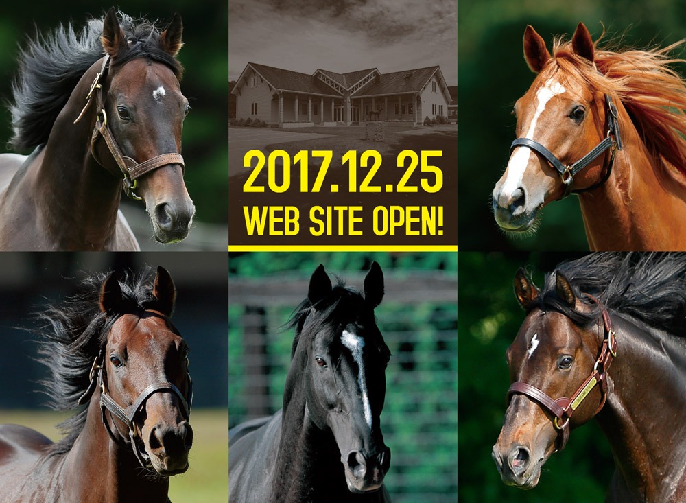 2017.12.25 WEB SITE OPEN!!